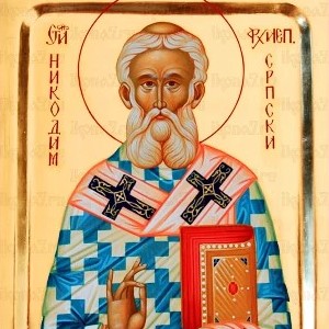 Святителя архиепископа Сербскаго и великаго чудотворца Никодима